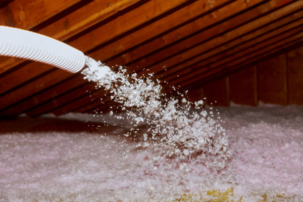 Trusted Appleton, WI Insulation Contractor Experts
